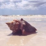 久洲娱乐:打造多元化娱乐内容的先锋企业 06lwz3a6vg