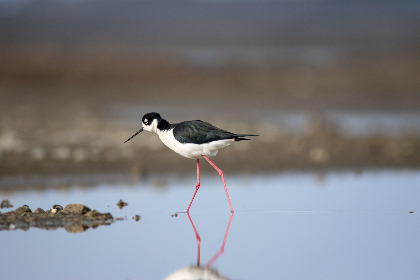 东海平台在数字经济时代的创新与转型探索