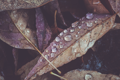 乐众娱乐在数字时代的崛起与未来展望