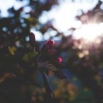 万博manbetx登录网页版的安全性与用户隐私保护措施 iag1t