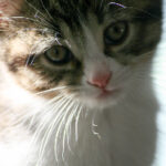 360开奖结果3最新公布:今日幸运号码揭晓 0ldtl8f