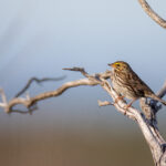 168开奖直播现场全程高清实况在线观看 1plysc4bf