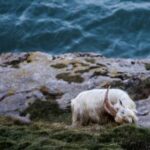 360开奖现场全程直击,见证幸运时刻 2ox5pih7