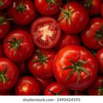 168开奖三尾最新精准预测与结果分析 54vqdng6