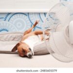 168开奖现场见证激动人心的开奖时刻 6dkl5gc4os