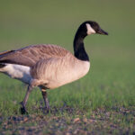 1668最快开奖现场直播,第一时间揭晓中奖结果 6t5azk1z