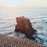 168开奖码最新开奖结果权威公布 9mcmm34