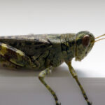 163福彩开奖最新结果查询与中奖号码公布 gkjfu68e