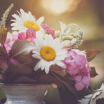 168开奖现场全程直播见证激动人心的时刻 hwynp