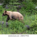 360开奖结果正式公布,速来查看幸运号码! nyei8h1g5