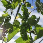 168021开奖网最新开奖信息查询与结果公布 skee2m1d