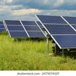 360度全景直播:精彩赛事尽收眼底 ss5zjw