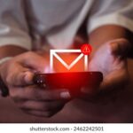 165555开奖结果最新公布,今日中奖号码全面揭晓 tczfw