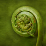 360开奖全国盛典,见证幸运之神的降临 y4a97